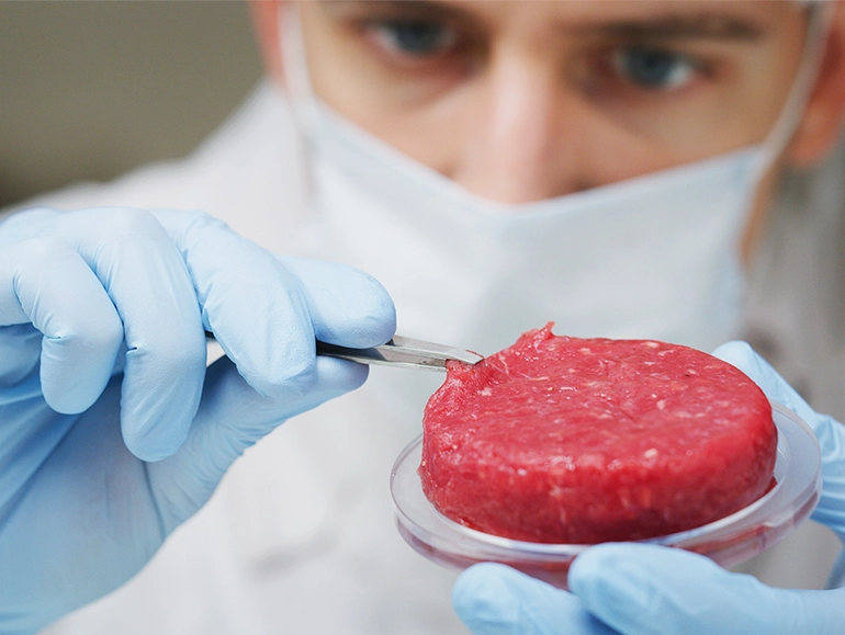 A scientist wearing a mask and blue gloves examines a lab-grown meat patty with tweezers, demonstrating a sample in a petri dish in a laboratory setting.