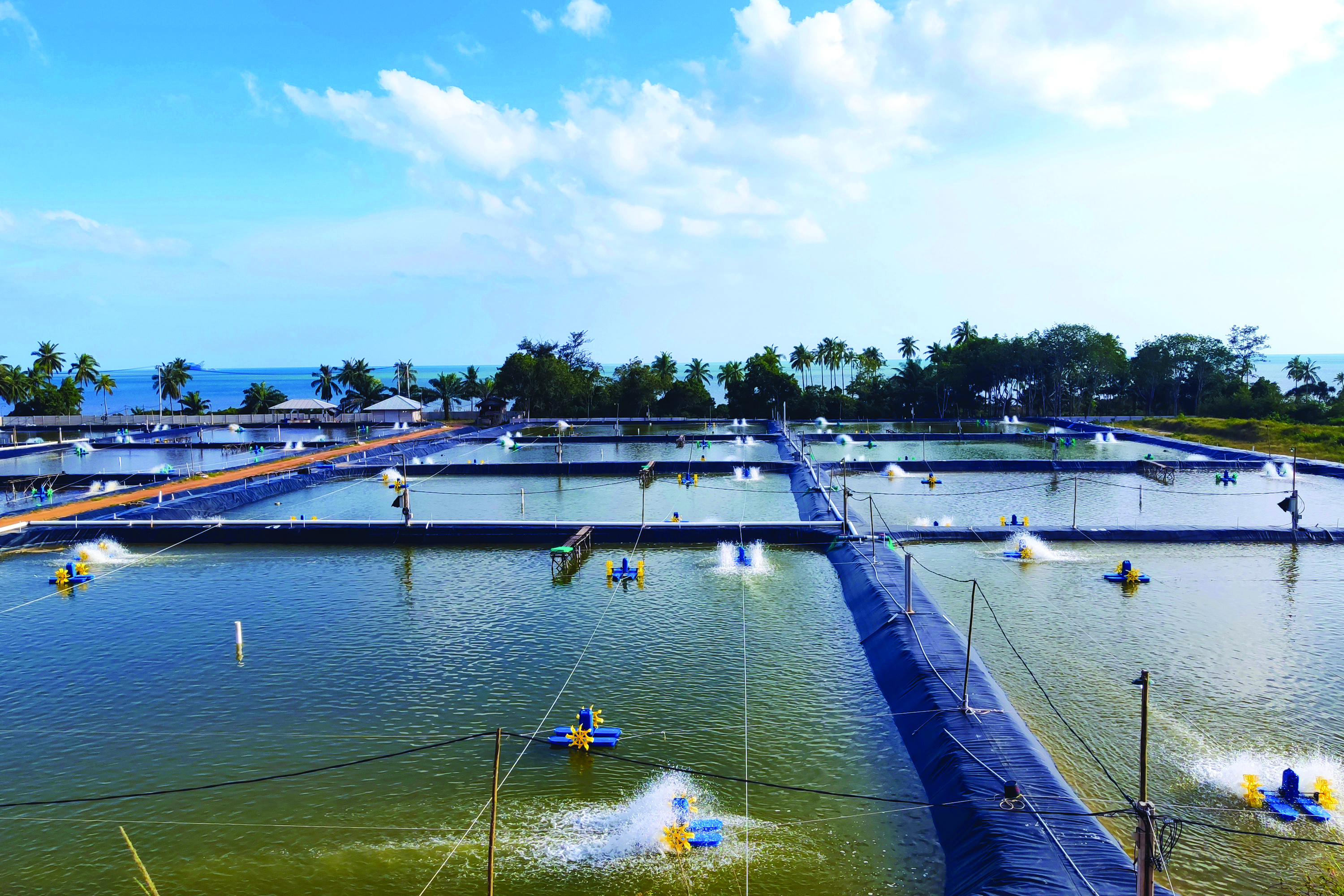 写真：AquaEasy