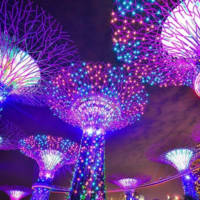 The Supertree Grove at Gardens by the Bay in Singapore illuminated at night with vibrant, colorful lights.