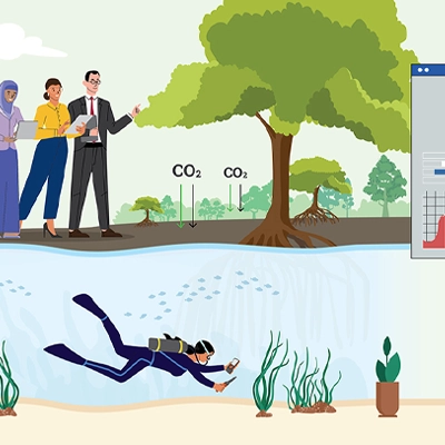 Illustration showing scientists analyzing coastal ecosystems and carbon capture in mangroves, with divers studying underwater habitats and professionals shaking hands in front of a regional environmental data map.