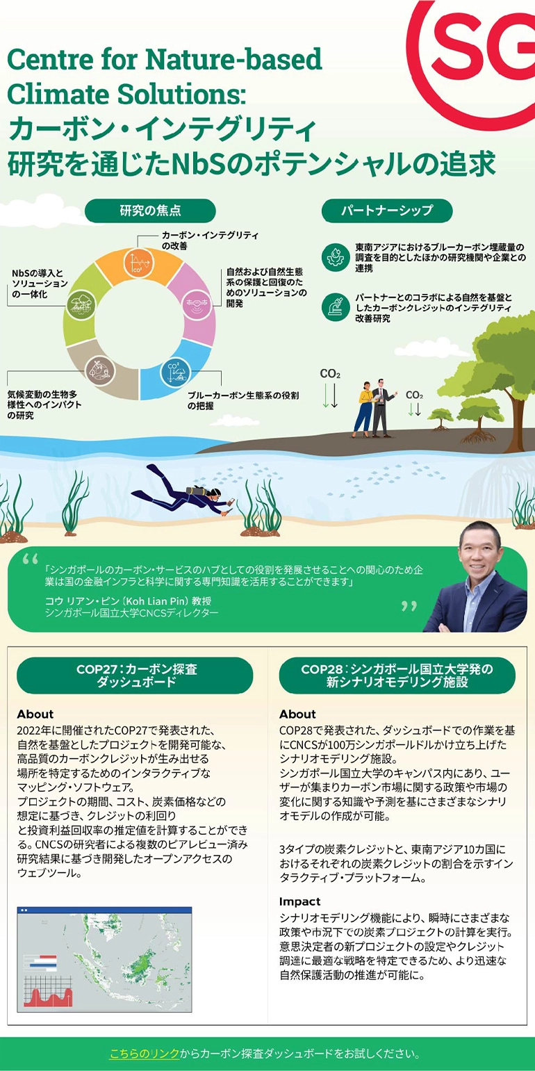 work passes available in singapore infographics