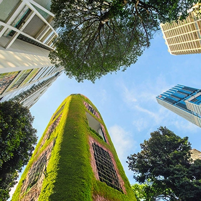 Upward view of modern high-rise buildings with greenery-covered facades and surrounding trees against a clear blue sky.