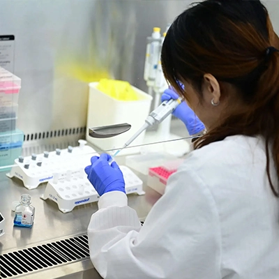 Researcher using a pipette to conduct laboratory work inside a biosafety cabinet.