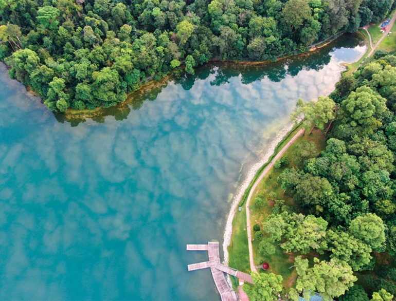 Aerial view of a lush forest surrounding a calm reservoir with a wooden jetty.
