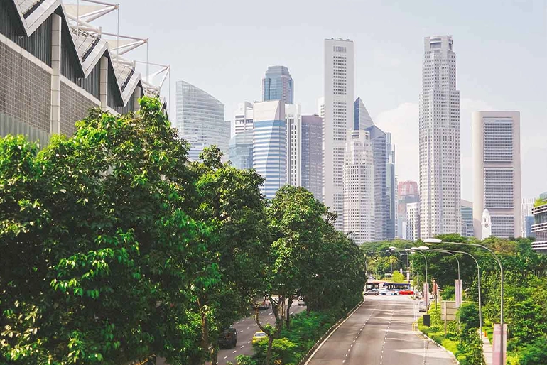 Tree-lined road leading into Singapore’s Central Business District, with modern skyscrapers towering in the background under a clear sky.