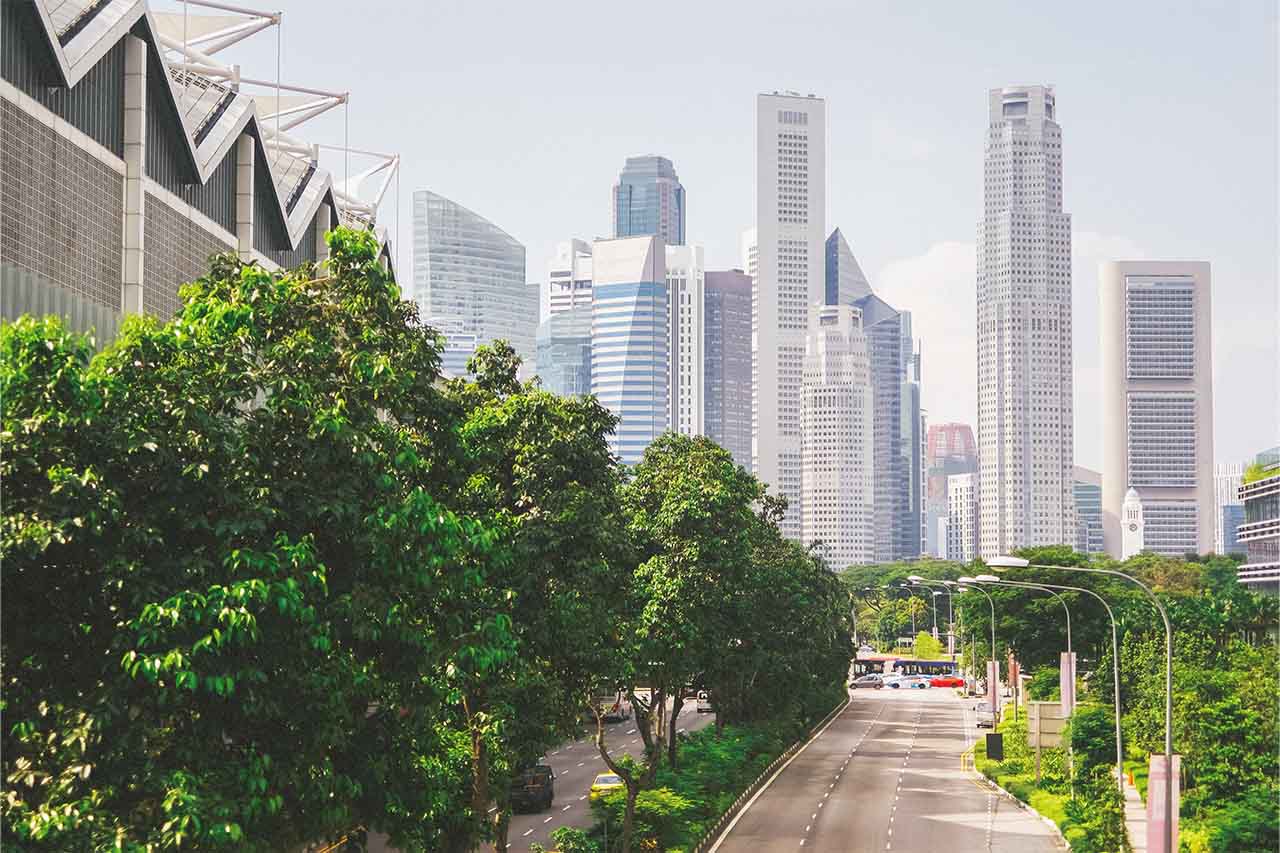 green trees