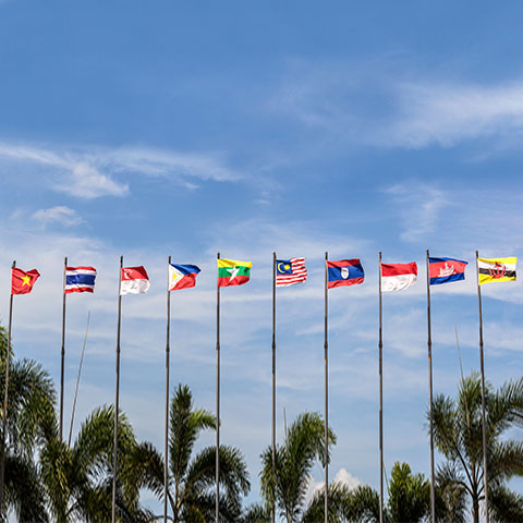 Flags of ASEAN countries