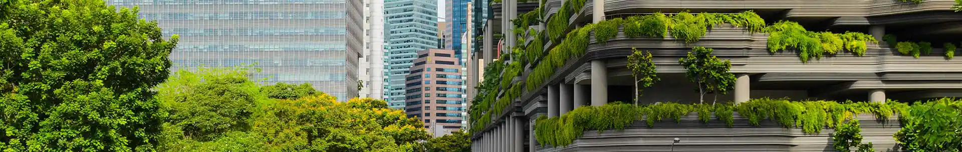 Scaling Sustainability: Building a Regional Footprint in Southeast Asia listing image