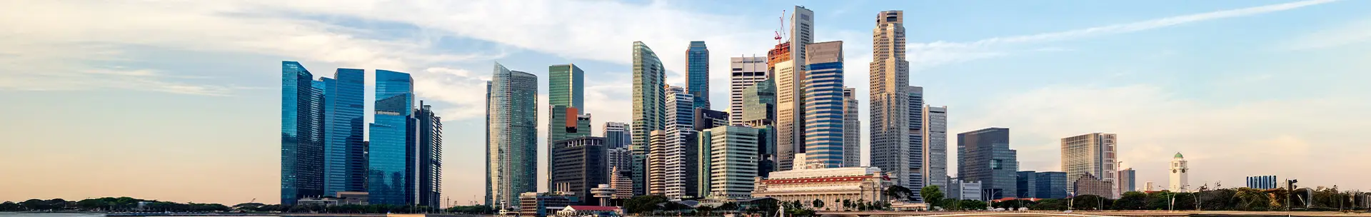 Singapore: Your Talent Launchpad from Japan to the World listing image