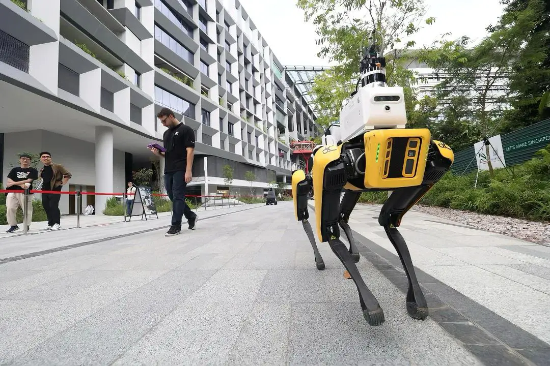 机器人时代加速来临，探寻新加坡智能产业新动能