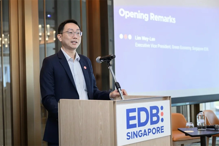 发现东南亚可再生能源转型新机遇