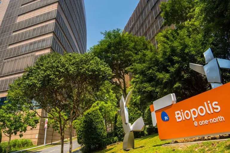 新加坡如何成为东南亚生物医药和医疗科技的首选地