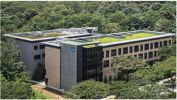 发现东南亚可再生能源转型新机遇