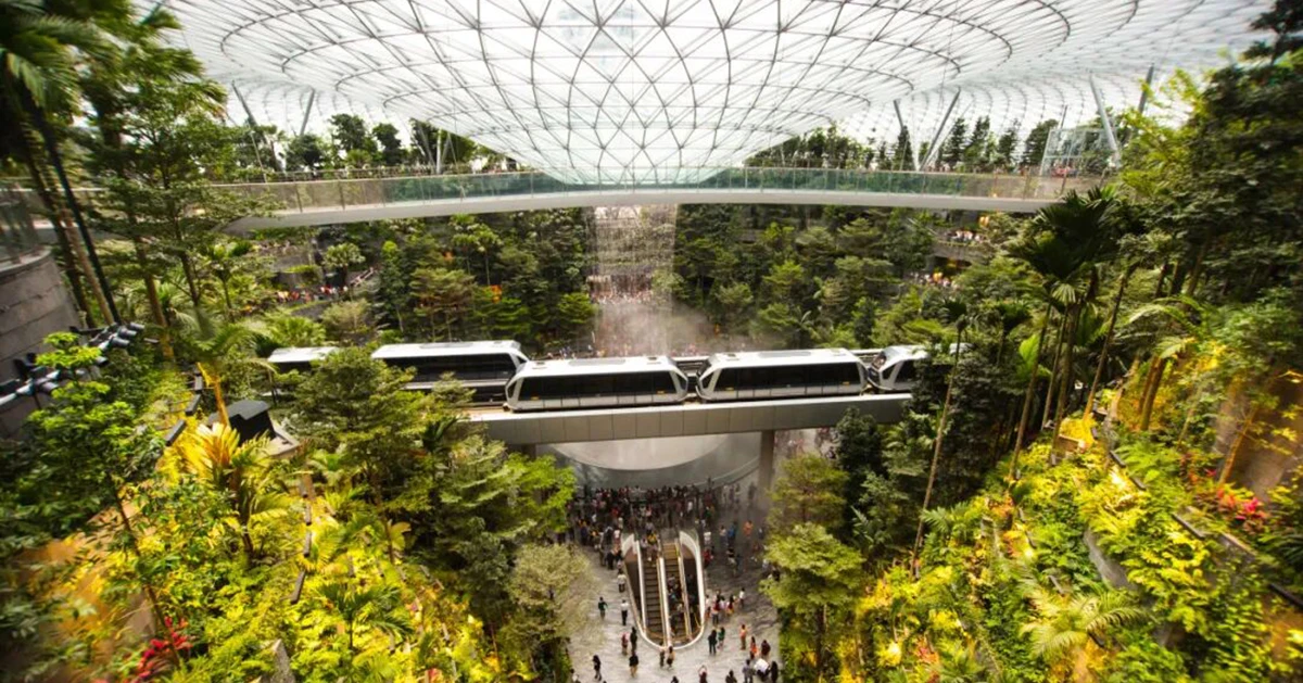 中国品牌缘何在新加坡掀起商业热潮？