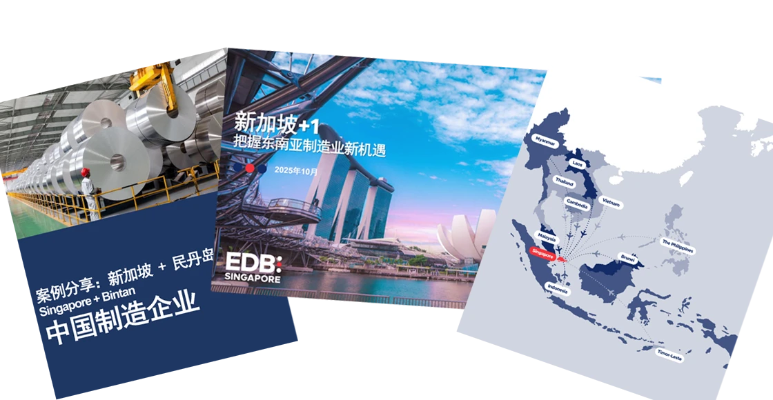 <h5><b>“新加坡+1”战略手册 </b></h5>
