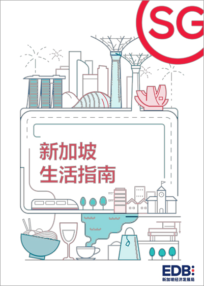 新加坡经商指南: 企业所需注意的主体注册基本概念、流程和财税要求