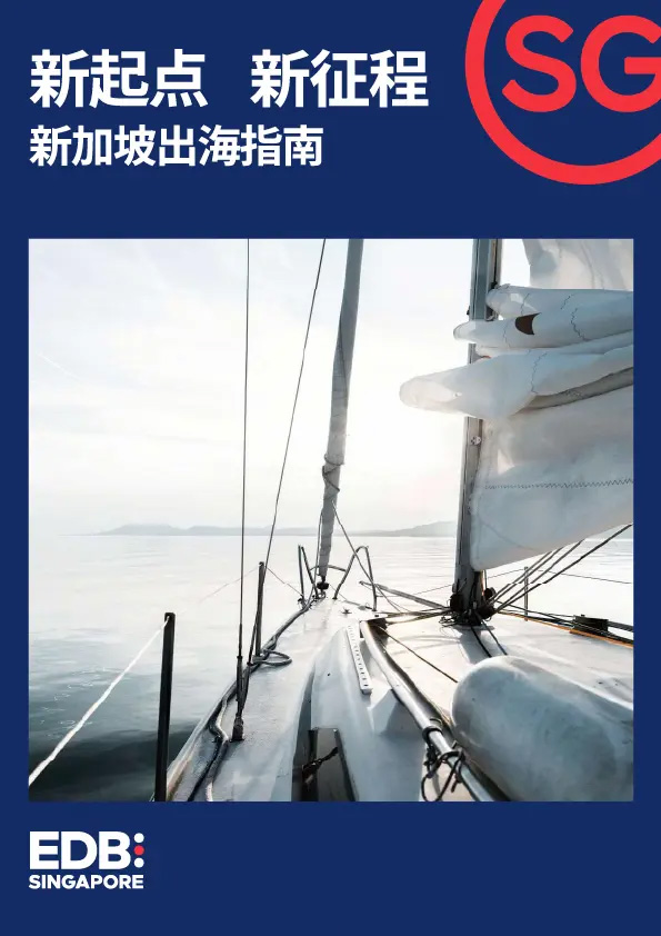 在新加坡组建您理想的科技团队