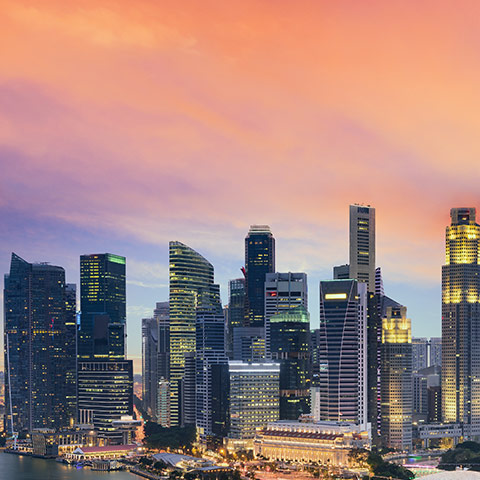 Get started quickly & easily in Singapore Infographic