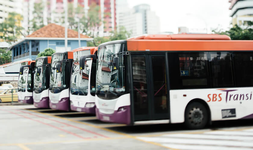 bus